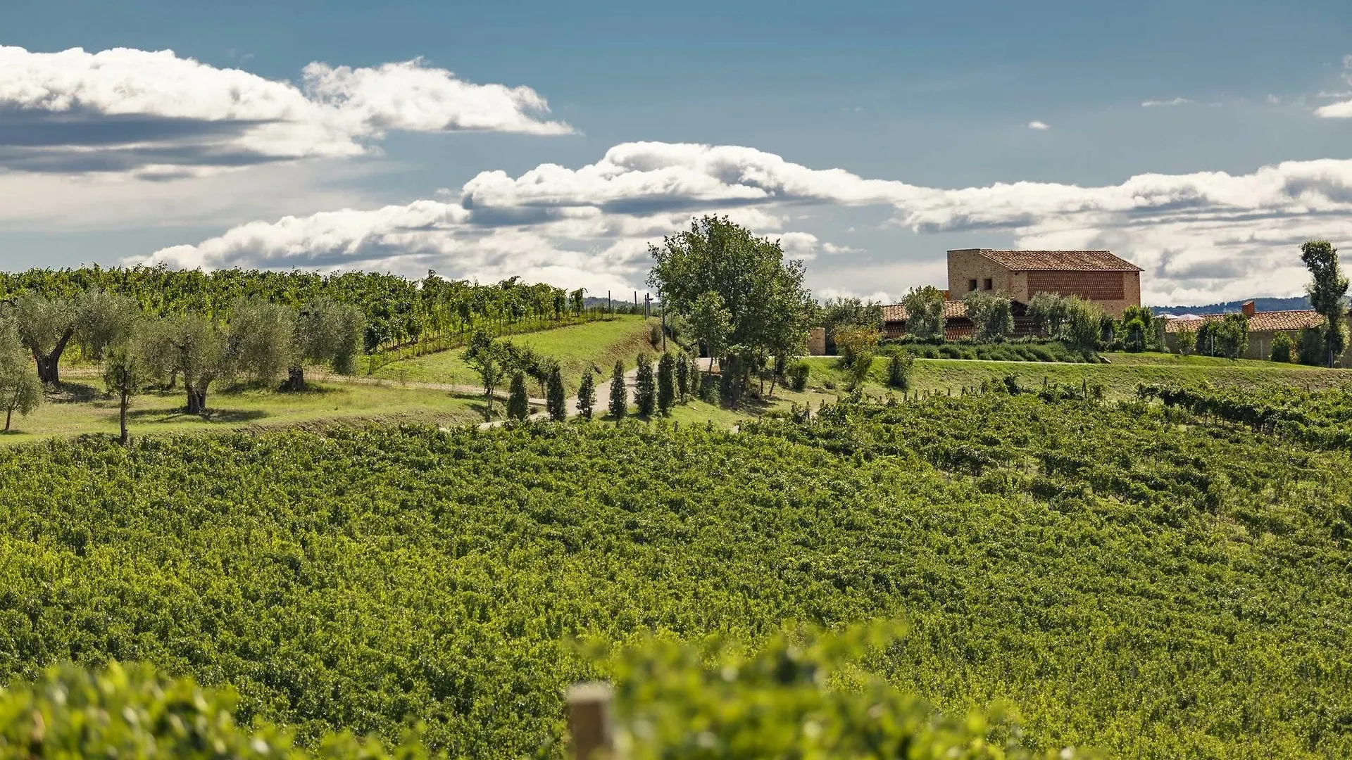 Pecora Vecchia - Collemassari Hospitality Villa Cinigiano